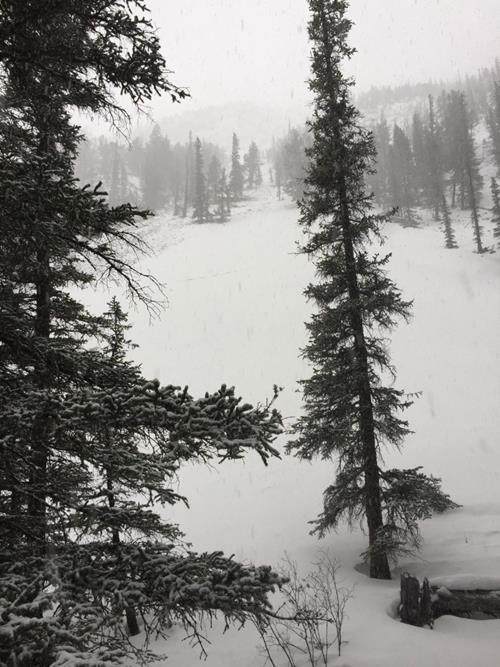 Good view of softly falling snow. 
