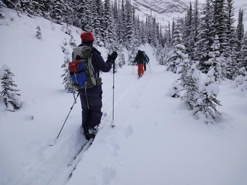 Fresh snow on the Gypsum trail