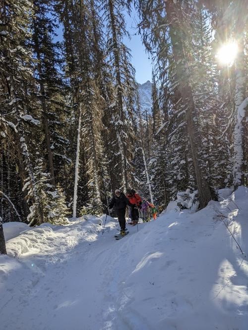 Trail to Burstall Pass