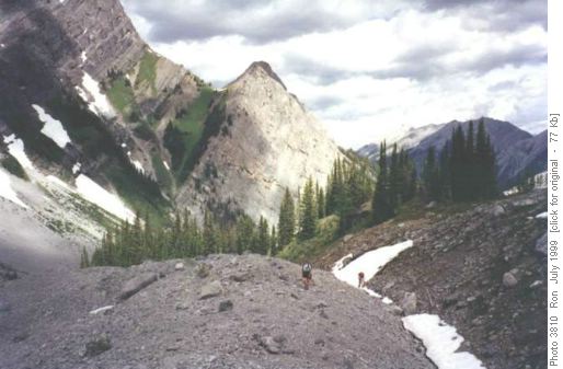 Moraine of Old Goat Glacier