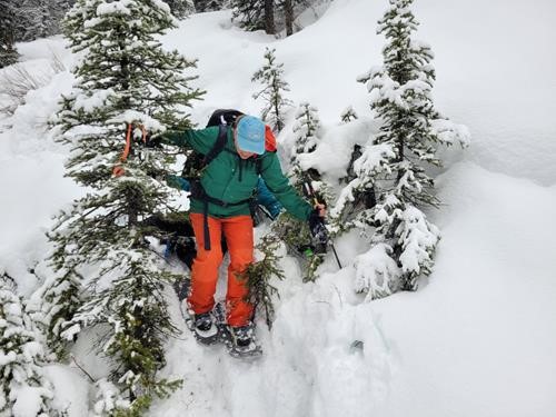 Kim hanging off the trees - Steep ascent starts right after the Smith-Dorrien Creek crossing