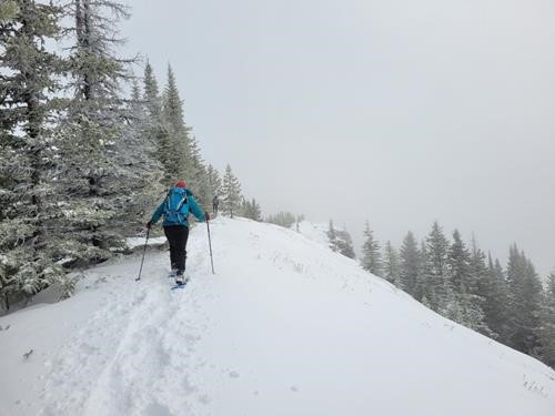 Making the Ridge 