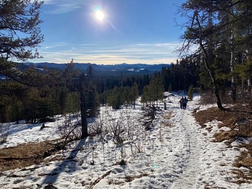 One of the sunnier sections of trail 