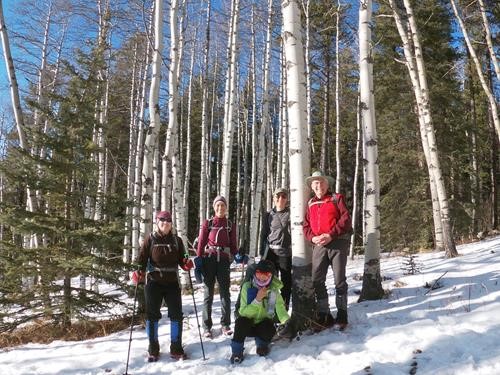 Aspens on Snagmore