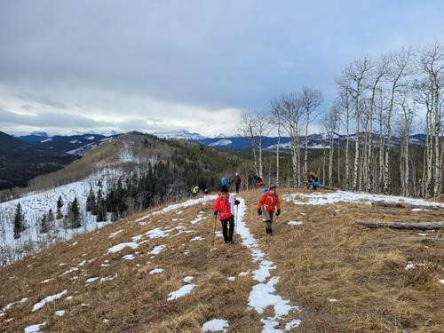Sandy Mcnabb hills