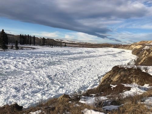 Ice formation along Bow River