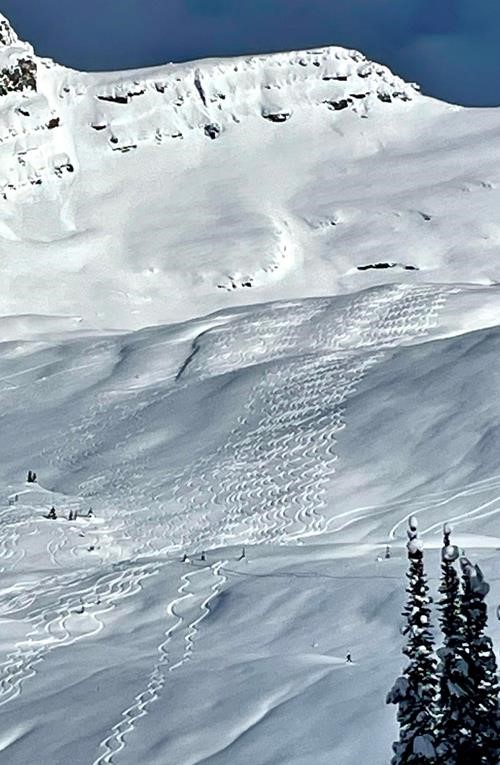 Paradise bowl lovingly farmed just above the chalet