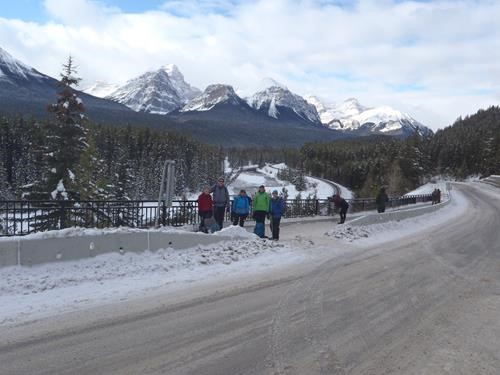 The Group at Morants Curve