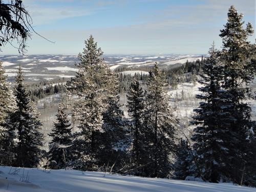 Sandy McNabb, Pine Ridge viewpoint: Calgary just visible