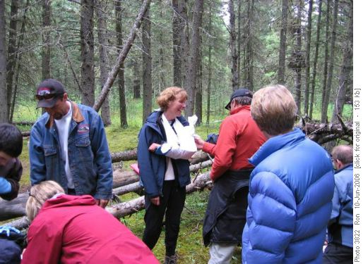 {354 Susan Audibert} shows off her fine splint