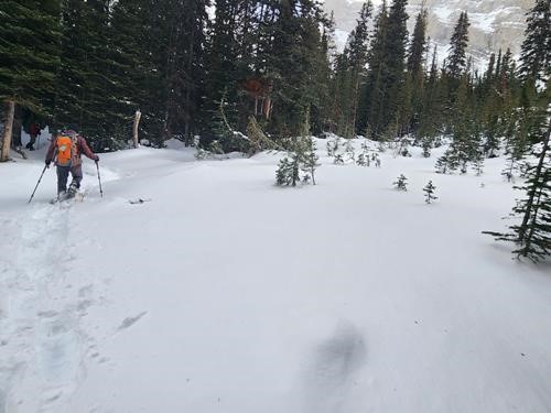 James Walker Creek avalanche runout zone