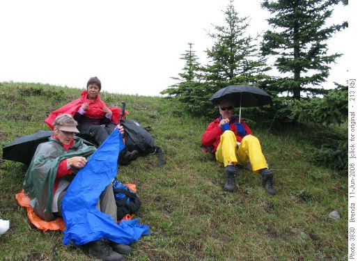 Lunch Stop at Bluerock Meadows
