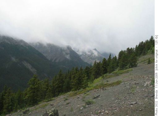 Back side of the meadows