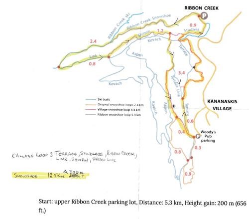 Ribbon Creek snowshoe 12k loop