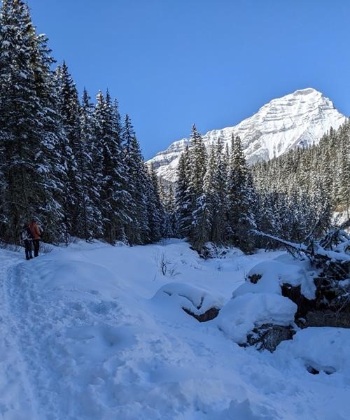 Rocky Mountain Ramblers Trip Report Ribbon Creek snowshoe 12.5 km loop