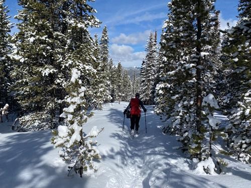 Deep fresh snow on the descent
