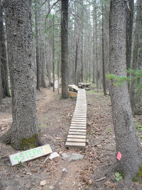 Mountain bike trail descends Exshaw Ridge