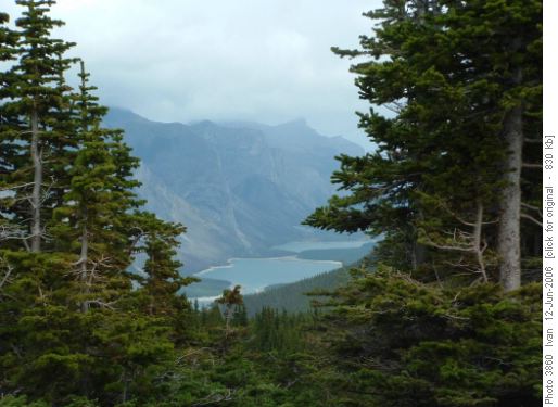 Peechee Meadows view
