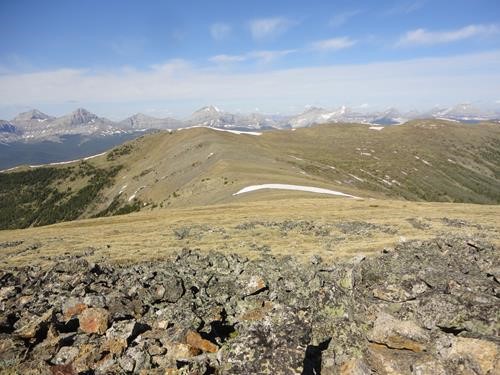 View west from Mt Monad: Forestry road south 