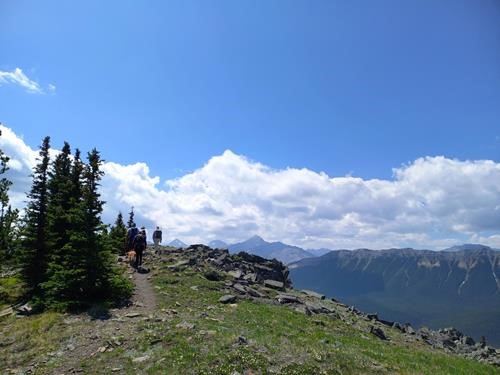 Along the ridge