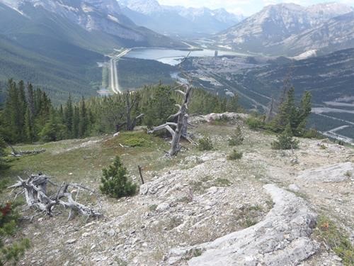 Looking down the Bow Valley towards Lac des Arcs