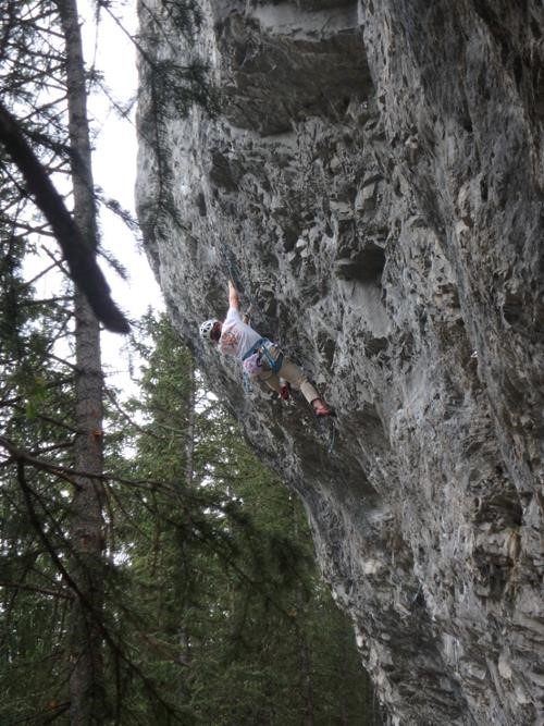 Acrobatic climber