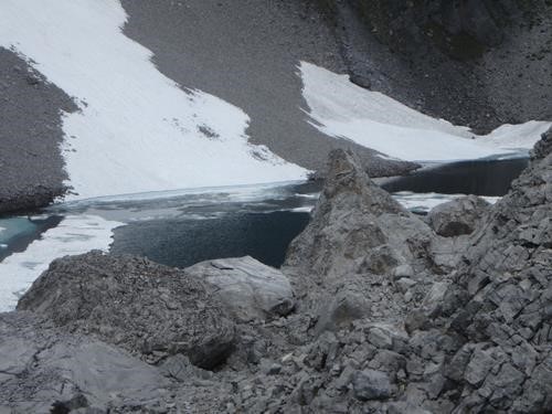 Almost ice free Black Prince Lk