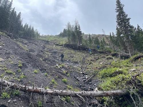 Descending a variety of terrain 