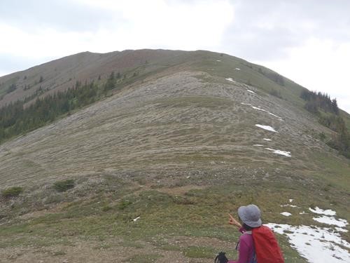 Looking toward the summit of Elaphus Peak