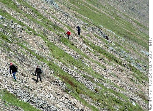Descent to Rickert's Pass
