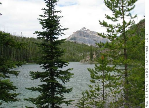 Vista Lake