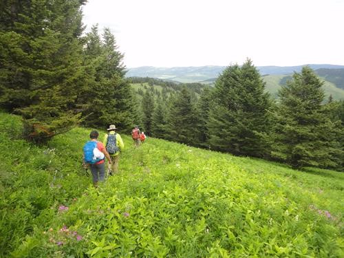 Ramblers walk along Whaleback Ridge