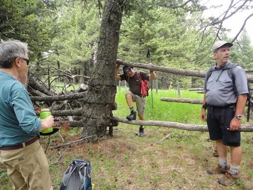 Tricky Gate on Black Mtn trail near Whaleback Ridge