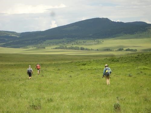 Ramblers return to cars after a hike on Whaleback Ridge