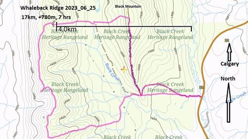 Map of Whaleback Ridge/Black Mtn circuit June 2023. 