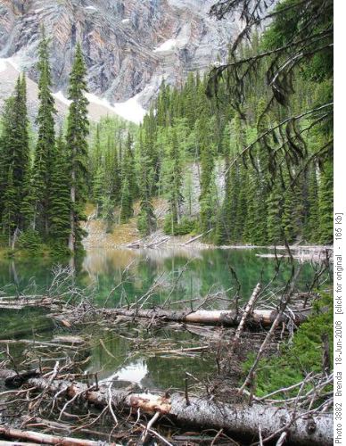 Pond before Arnica Lake
