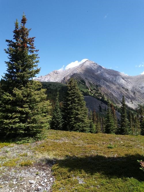 Old Baldy viewed from the ridge meadows
