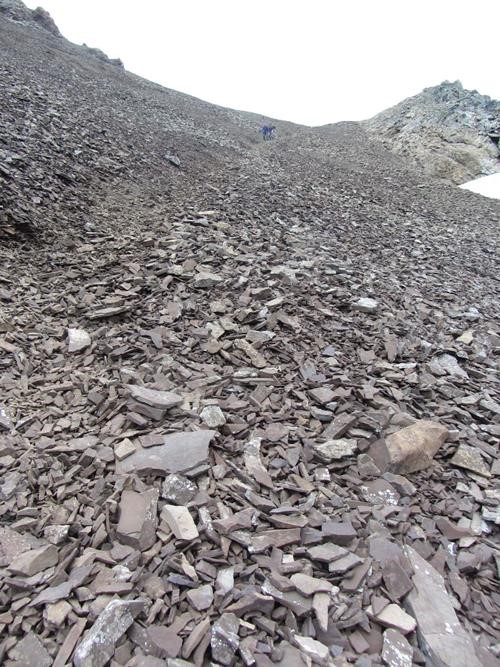Steep scree trail up to Piper Pass