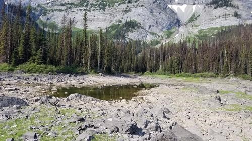 Almost dry Warspite Lake 