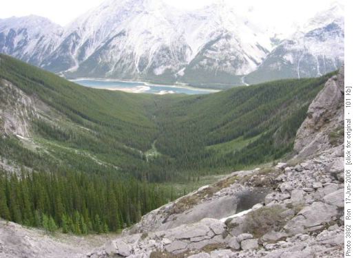 Old Goat, view of forest trail