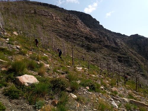 Hiking up to the ridge crest through burnt trees