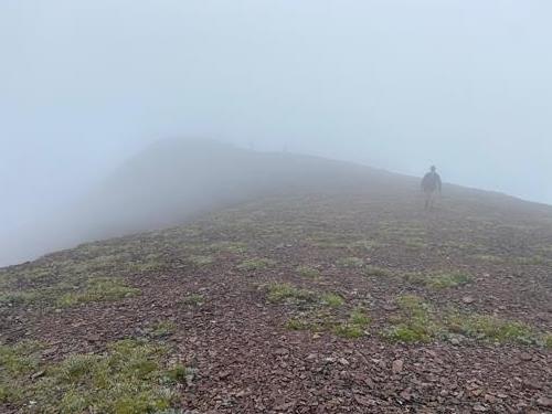 There are three people in this photo 