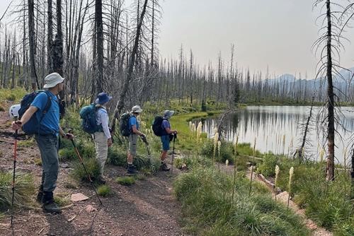 Beargrass and the 2017 burn at Summit Lake