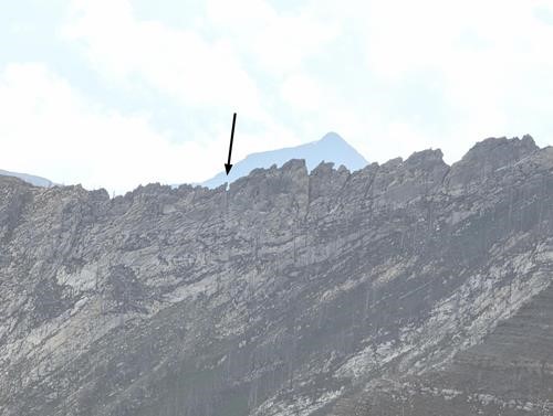 Stopped on the cockscomb