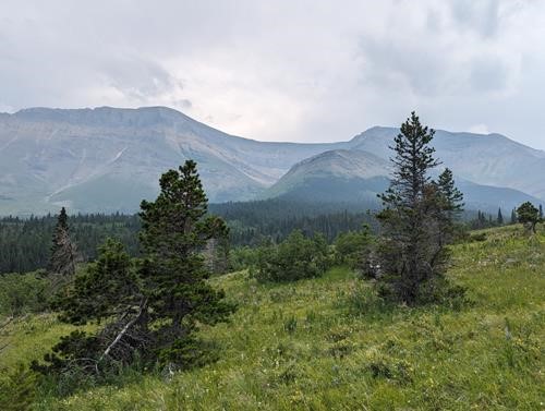 Sofa Mtn from the north