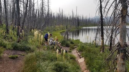 Summit Lake rest stop