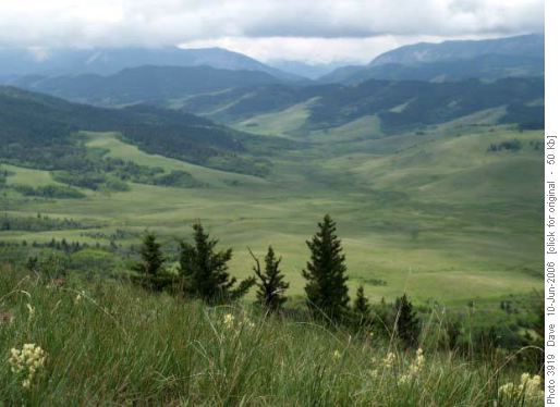 Bob's Creek Valley
