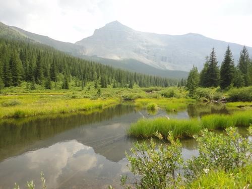 Beaver Pond near campsite with Mt Muir behind