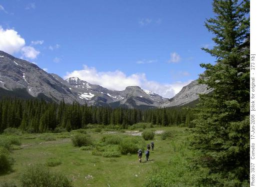 Ramblers hiking through the Baril Ck valley towards Fording River Pass