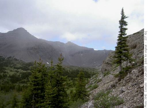 Col (2,310m) North East of Mt Bolton looking NNE, Mt MacLaren (2,835m)& Alderidge Ck Tarns